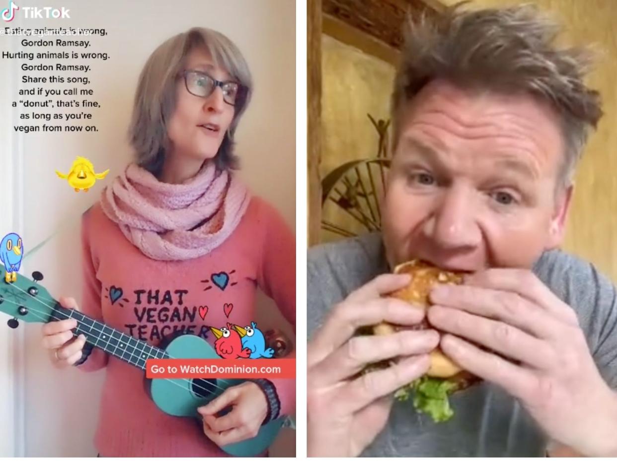 Gordon Ramsay TikTok Vegan Duet