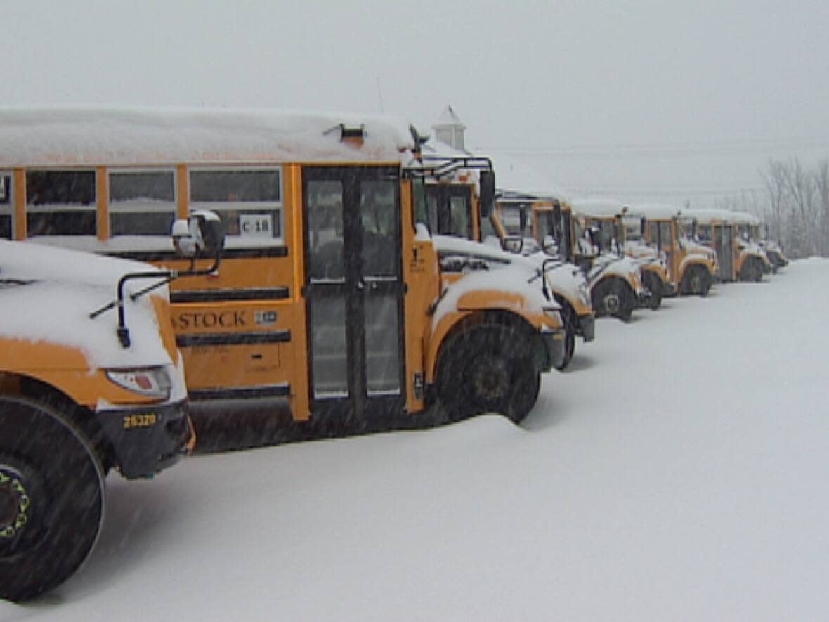 School buses are parked in the Ottawa-Gatineau region Jan. 17, 2022 because of the snow and wind in the forecast. (CBC - image credit)