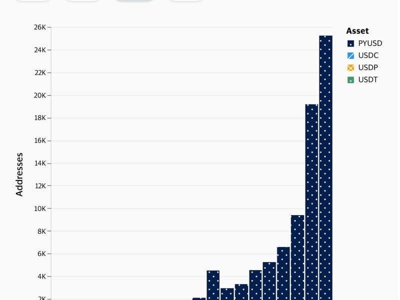 Las direcciones mensuales activas de billeteras de monedas estables PYUSD experimentaron un crecimiento explosivo este verano. (Visa/Aluvión)