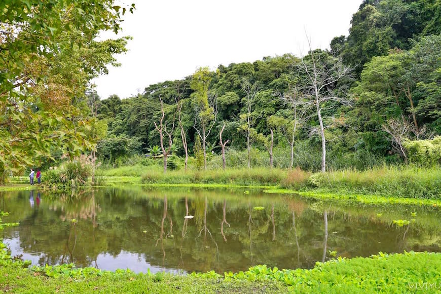 桃園大溪｜月眉人工濕地生態公園