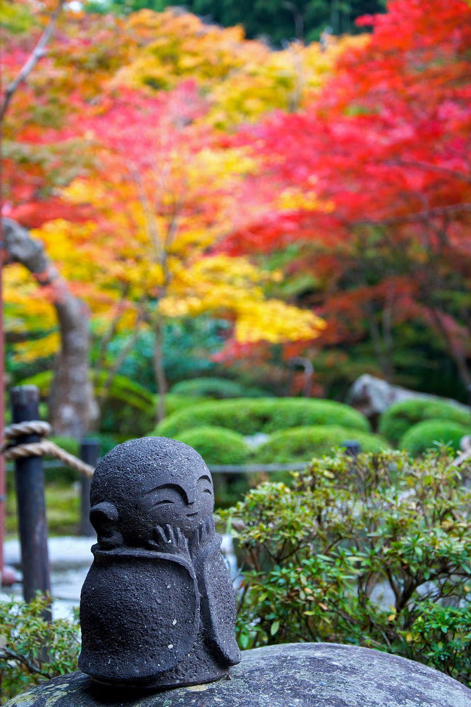 leaf, tree, red, autumn, garden, botany, plant, statue, woody plant, botanical garden,