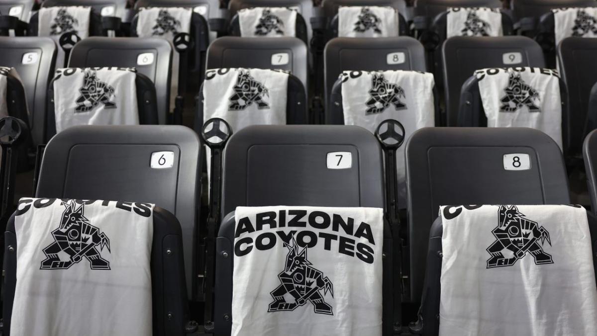 Coyotes Owner Meruelo Folding What’s Left of the NHL Franchise