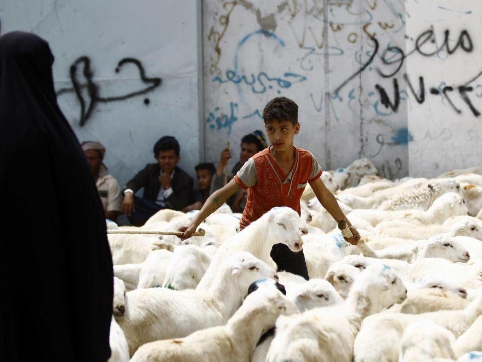 A Yemeni boy stands among a herd of sheep in a livestock market in the capital Sanaa as people buy provisions in preparation for the Eid al-Adha celebrations (Mohammed Huwais/AFP/Getty)