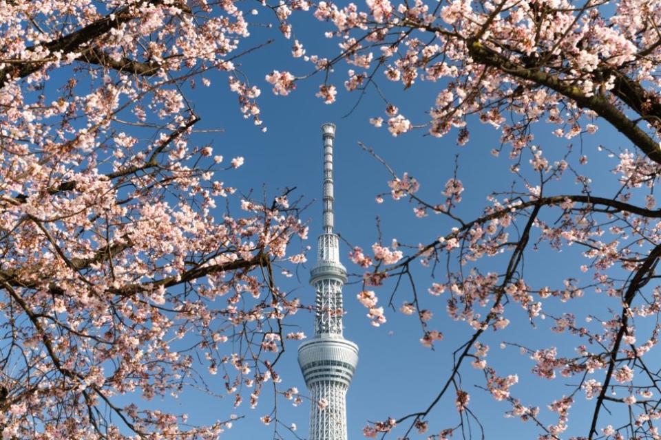 Tokyo Skytree