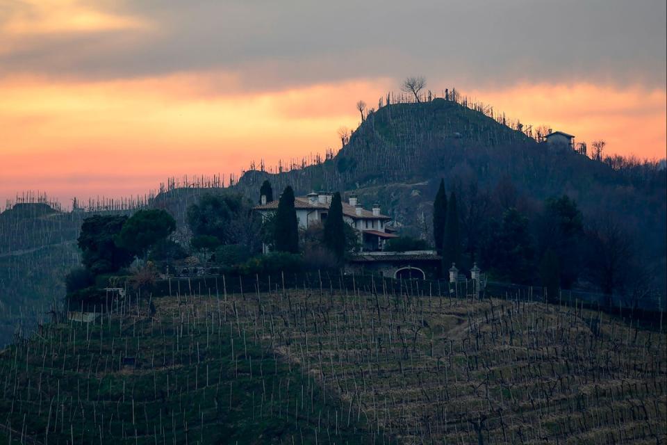 Prosecco vineyards in Veneto, Italy. An Italian consortium has urged British drinkers to stop calling any sparkling wine prosecco (Miguel Medina/AFP via Getty Images)