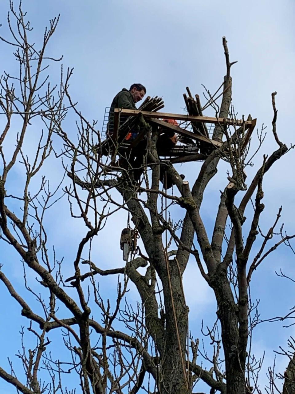 Brian Towers building a nest platform on Bolton Castle Estate (Mike Thornley/PA) (PA Media)