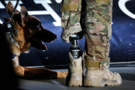 <p>Service dog Kai is pictured with SST August O'Niell as they take part in the opening ceremony of the Invictus Games in Orlando Florida, U.S., May 8, 2016. (Carlo Allegri/Reuters)</p>