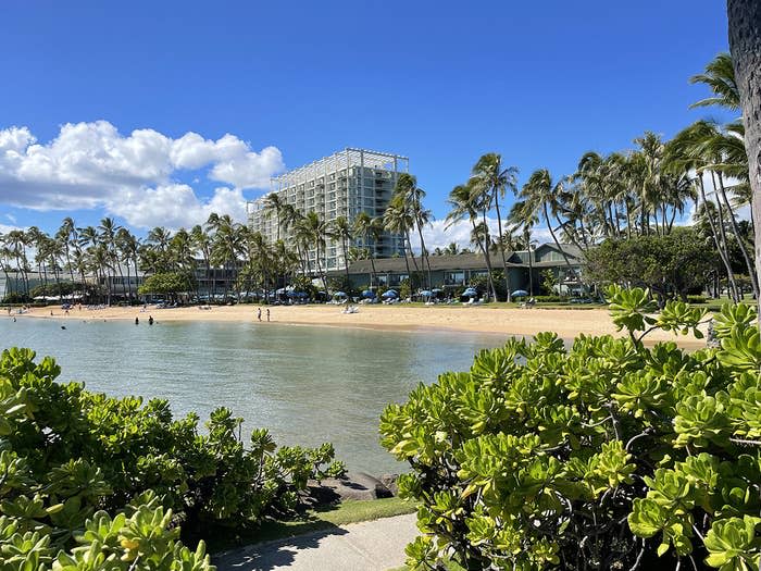 A beach with palm trees and a hotel in the background