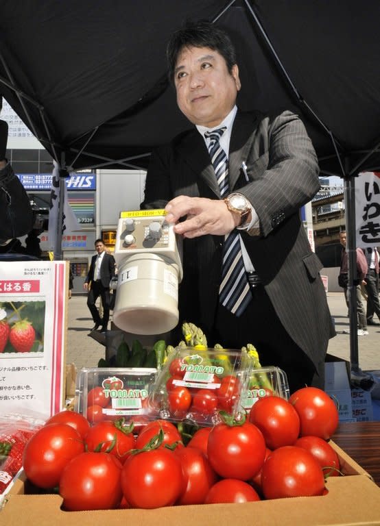 A man checks vegetables for radiation on April 12, 2011. The clean-up around the stricken Fukushima nuclear plant is expected to take decades and experts warn that some settlements may have to be abandoned