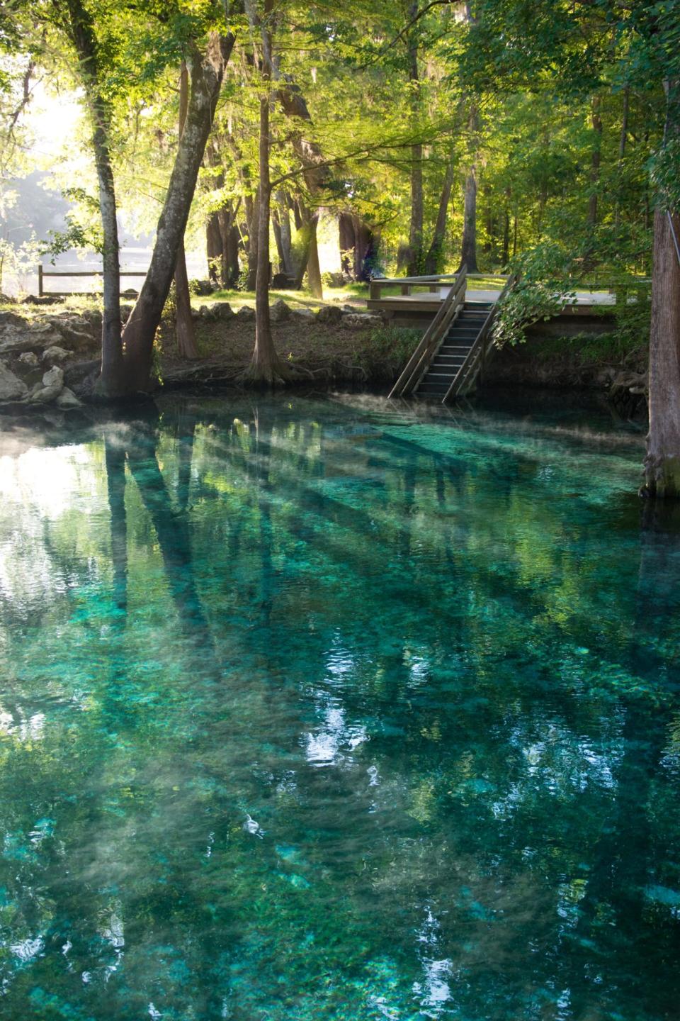 Ginnie Springs