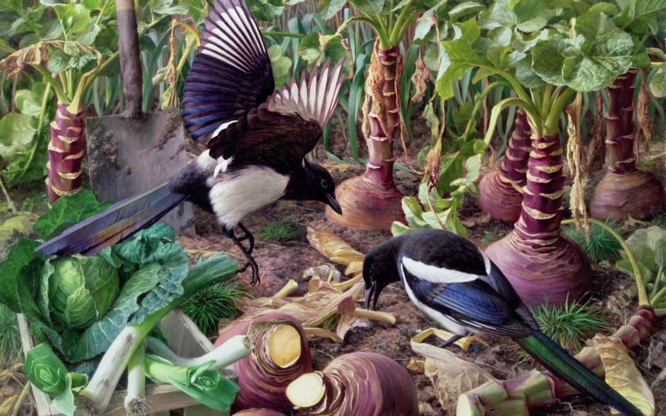 Rich pickings: Magpies in the Vegetable Garden by Raymond Booth (1929-2015) - © The Fine Art Society, London/Raymond Booth/Bridgeman Images