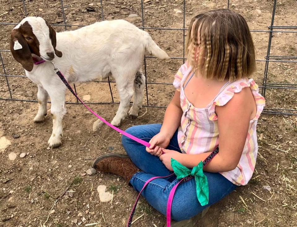 Jessica Long’s daughter holds Cedar’s leash. Cedar, a 7-month-old white Boer goat with chocolate markings framing its face, is now the subject of a federal civil rights lawsuit naming Shasta sheriff’s officials,