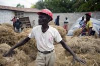 In this May 27, 2019 photo, Clerme Elmacide stands amid bales of vetiver roots at a plant in Les Cayes, Haiti. In the poorest country of the Western hemisphere, this is ground zero for a multimillion-dollar industry responsible for more than half the world's vetiver oil, an essential oil used in fine perfumes ranging from Chanel to Guerlain. (AP Photo/Dieu Nalio Chery)