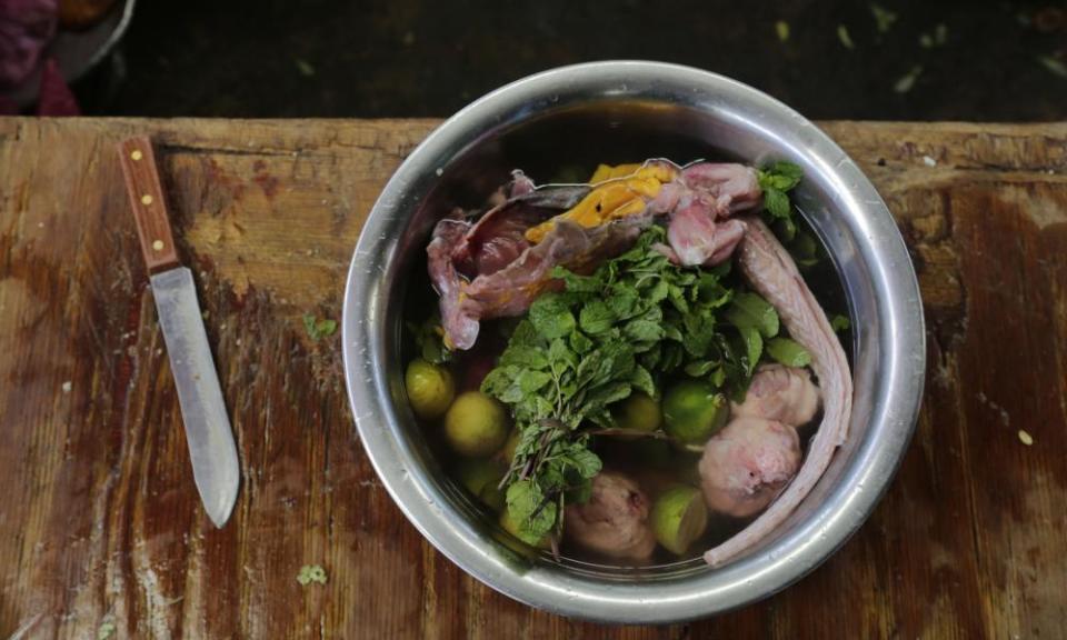 Iguana soup: a popular dish in Central America and now, perhaps, in Florida.