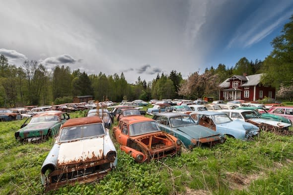 Wide shot of the site. Photographer Svein Nordrum ventured into a thick forest in southern Sweden where he found 1,000 forgotten cars from the 1950s - a vintage car collector?s dream, left to rust. Today, rusting classic cars including vintage Opels, Fords, Volvos, Buicks, Audis, Saabs and a Sunbeam litter the natural undergrowth. ***NOTE: MORE PIX ARE AVAILABLE CALL TOM KNIGHT 0117 9733730***