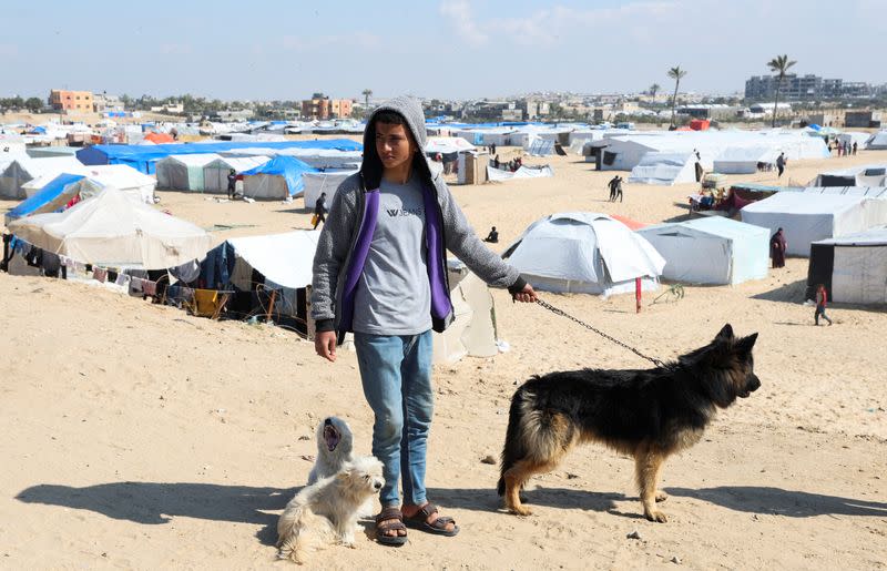Gaza teenager struggles to look after his dogs in at a displacement camp in Rafah
