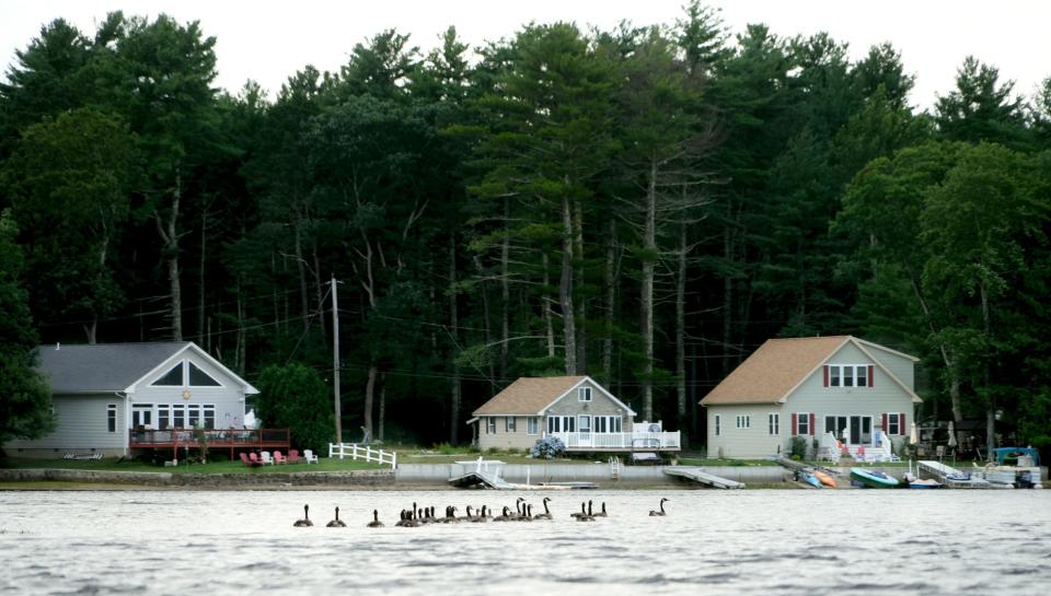 A gaggle of geese swim along the surface of Johnson's Pond in Coventry.