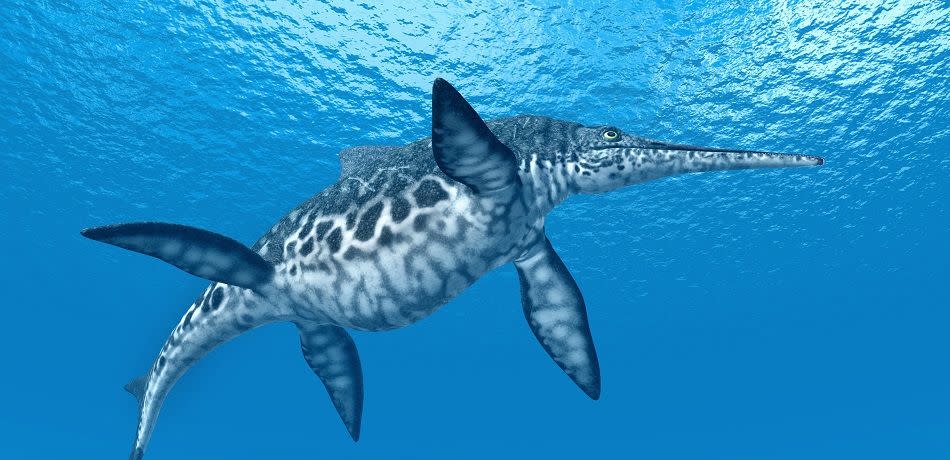 Computer-generated rendering of the ichthyosaur swimming underwater