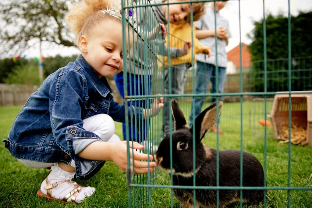 A little girl feeds a rabbit through his cage in her backyard. 