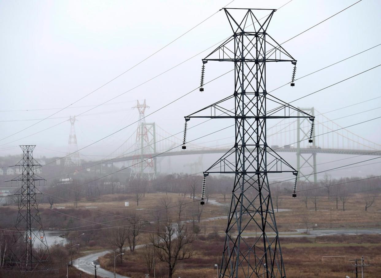 The province is asking the Nova Scotia Utilities and Review Board to allow it to take on $117 million in costs from Nova Scotia Power in hopes of staving off a big rate increase for customers in 2024.  (Andrew Vaughan/The Canadian Press - image credit)