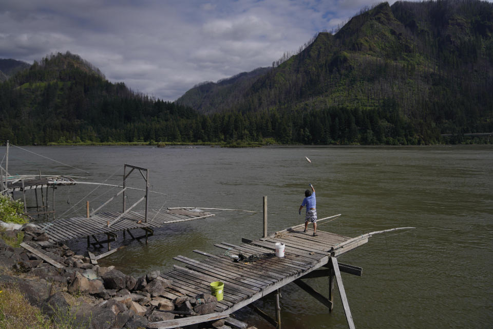 A man throws a fish back into the Columbia River from the Whitefoot family scaffold in Bonneville, Ore., on Monday, June 20, 2022. For thousands of years, Native tribes in this area have relied on the Columbia River for its salmon and trout, and its surrounding areas for edible roots, medicinal herbs and berry bushes, which are used for food and rituals. (AP Photo/Jessie Wardarski)