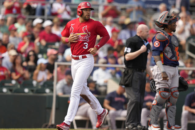 St. Louis Cardinals Albert Pujols Two Tone Red White India