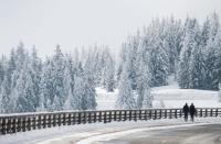 Snow in southern Germany as a wintry blast swept across Europe from Siberia on Sunday