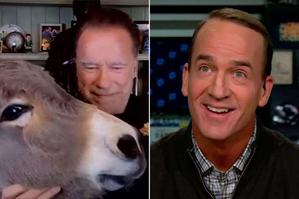 <p>Omaha Productions/ YouTube</p> Peyton Manning Left Stunned as Arnold Schwarzenegger Coos at His Pet Donkey During â€˜ManningCastâ€™