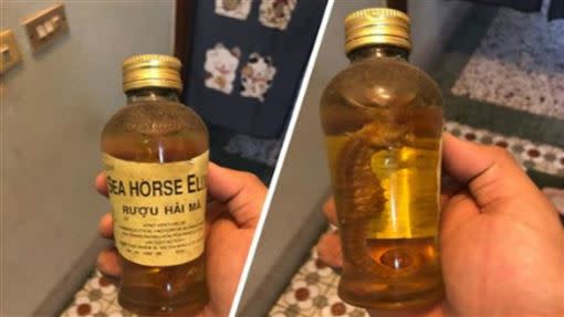 酒瓶內有1隻外觀完整的海馬。（圖／翻攝自爆系知識家）