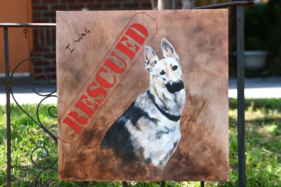 This painting of a dog adopted from the Panhandle Animal Welfare Society is part of an art exhibit titled “We Were Sheltered” on display at the PAWS thrift store, Junkyard Dog, in Cinco Bayou.