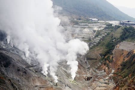 Steam rises from Owakudani vallay at Mount Hakone where a small volcanic eruption took place, in Hakone town, west of Tokyo, in this aerial view photo taken by Kyodo June 30, 2015. REUTERS/Kyodo