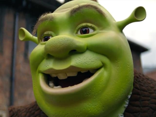 shrek reaction face