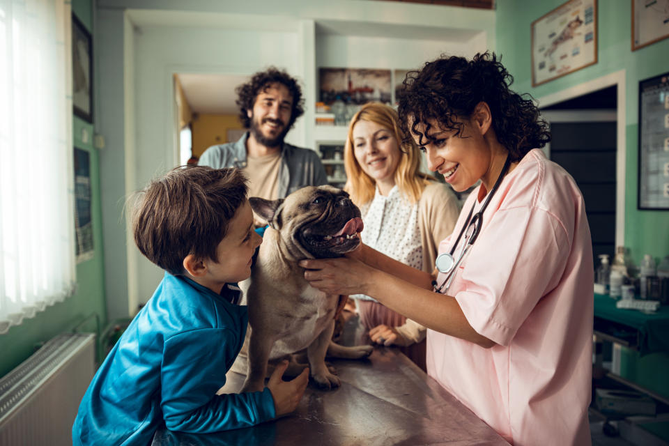 Close up of a young family taking their dog to the veterinarian