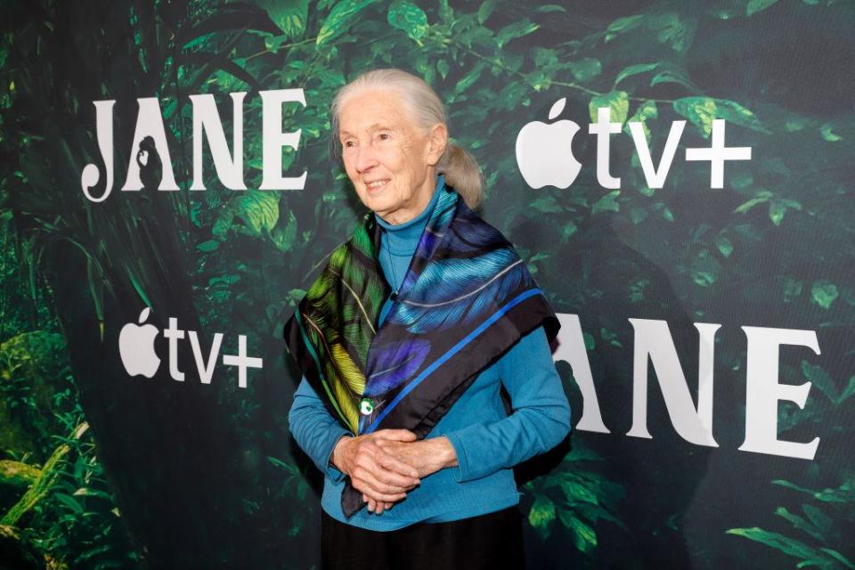 Dra. Jane Goodall en la premiere de 