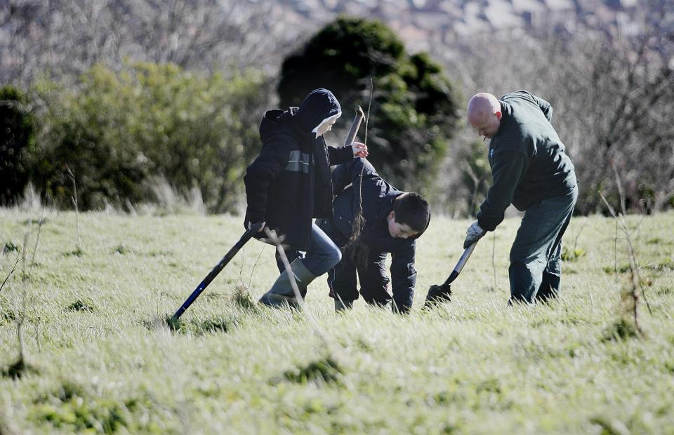 Primary school pupils help with the planting of native oak and ash trees in Belfast (PA) (PA Archive)