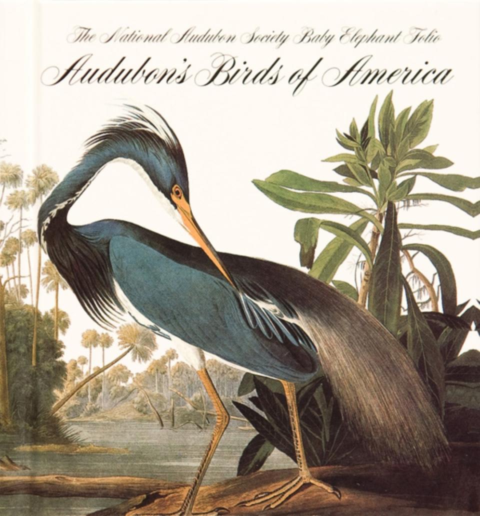 <p>El ornitólogo, naturalista y pintor John James Audubon creó el libro ‘Birds of America’ entre 1827 y 1898. De un metro de altura, contiene ilustraciones a mano de más de 200 especies autóctonas de América. La obra está valorada en 8 millones de euros. (Foto: <a rel="nofollow noopener" href="http://commons.wikimedia.org/wiki/File:Audubon_Birds_of_America.jpg" target="_blank" data-ylk="slk:Wikimedia Commons;elm:context_link;itc:0;sec:content-canvas" class="link ">Wikimedia Commons</a> / NCART Museum / Dominio Público). </p>
