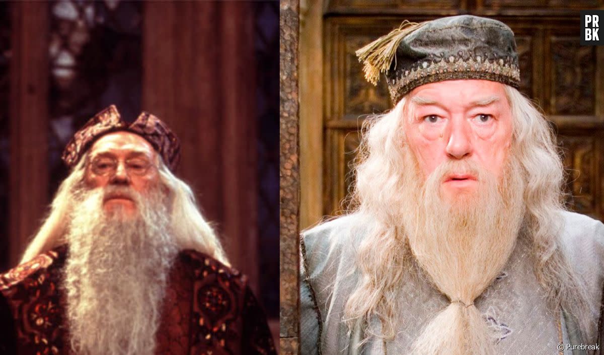 Harry Potter : découvrez quel acteur aurait dû jouer Dumbledore à la place de Michael Gambon - Purebreak