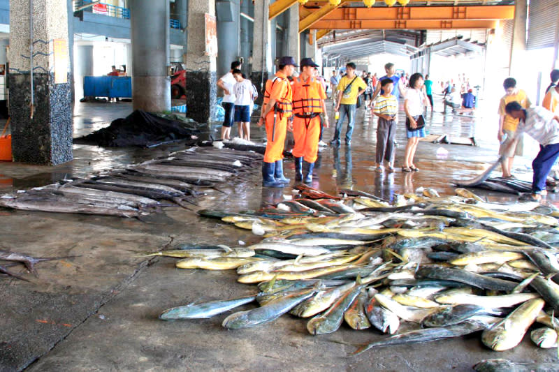 成功魚港是東海岸最知名的魚貨拍賣市場（圖片來源：維基百科/Lord Koxinga）