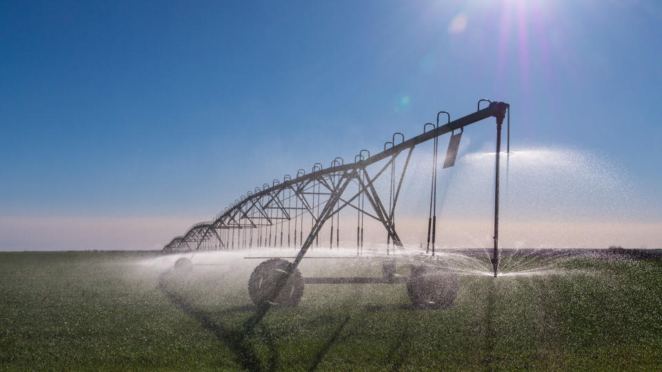 A center-pivot sprinkler irrigates wheat fields in drought-stricken western Kansas in.