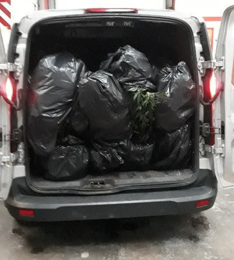  A dopey pair were in hot water when cops found their van crammed with wet cannabis plants they were trying to save from the floods. See SWNS story SWMDpot. A dopey pair were in hot water when cops found their van crammed with wet cannabis plants they were trying to save from the floods. Police intercepted a van full of cannabis plants that were being moved from a flooded property in Worksop, Notts. Officers who were carrying out patrols when they spotted the van speeding at around 10.30pm on Sunday (10/11). Two men fled into nearby fields and officers found the van was packed full of bin bags containing 25 mature cannabis plants with a total street value of over £20,000.