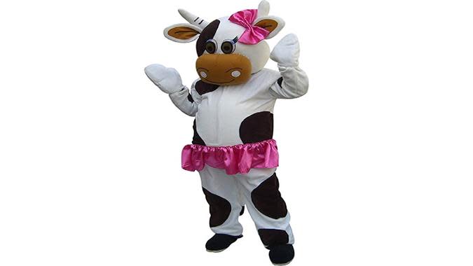 dairy cow