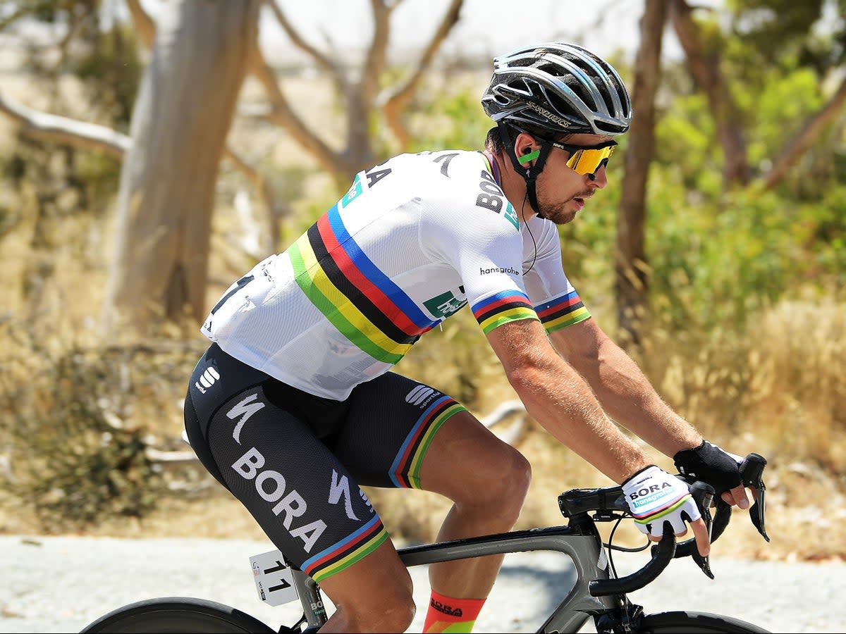 Peter Sagan won three consecutive world titles on the road  (Getty Images)
