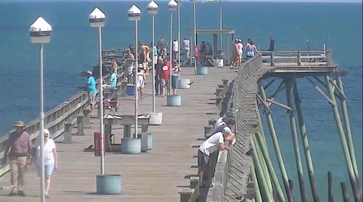 Located at Kure Beach Fishing Pier, this camera rotates periodically, allowing viewers to see whether there's room for them to cast a line or spread a towel in the sand. Like several other cameras on this list, the Kure Beach stream is run by Surfchex, a company founded in Wrightsville Beach.