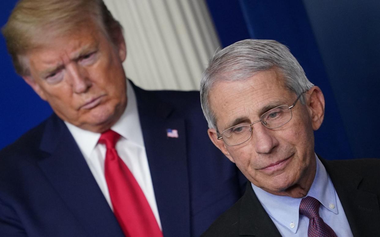 Donald Trump retweeted criticism of Dr Fauci - AFP 