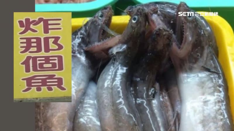 真的有一種魚就叫做「那個魚」。