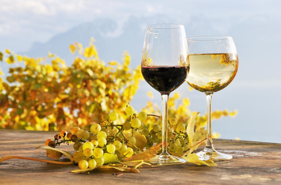 Two glasses of wine and bunch of grapes. Lavaux region, Switzerland