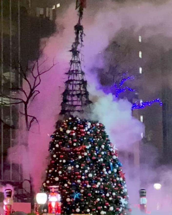 The burnt remains of a Christmas tree outside NewsCorp in midtown Manhattan.  (Courtesy / Matthew Sturiano)