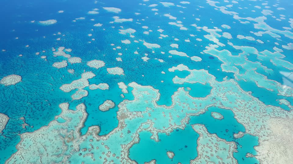 The tourists were near the popular tourist destination Michaelmas Cay. Source: AAP