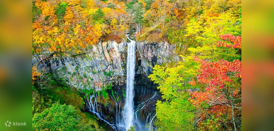 An aerial photo of World Heritage Nikko.