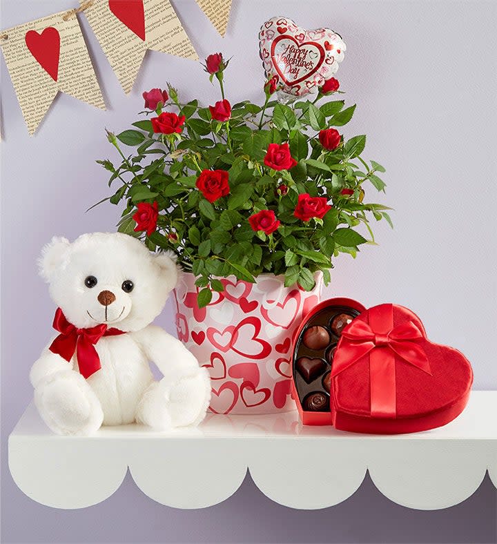 <p><a href="https://go.redirectingat.com?id=74968X1596630&url=https%3A%2F%2Fwww.1800flowers.com%2Fbundle-of-love-rose-plant-158187&sref=https%3A%2F%2Fwww.goodhousekeeping.com%2Fholidays%2Fvalentines-day-ideas%2Fg42662204%2Ffirst-valentines-day-gifts%2F" rel="nofollow noopener" target="_blank" data-ylk="slk:Shop Now;elm:context_link;itc:0;sec:content-canvas" class="link ">Shop Now</a></p><p>Bundle of Love Rose Plant</p><p>1800flowers.com</p><p>$75.00</p><span class="copyright">1-800 Flowers</span>